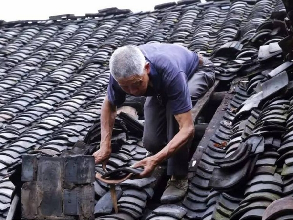 1561132053639040578.jpg 图片15.jpg