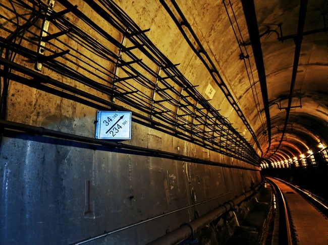 1575263763782008478.jpg 5.jpg