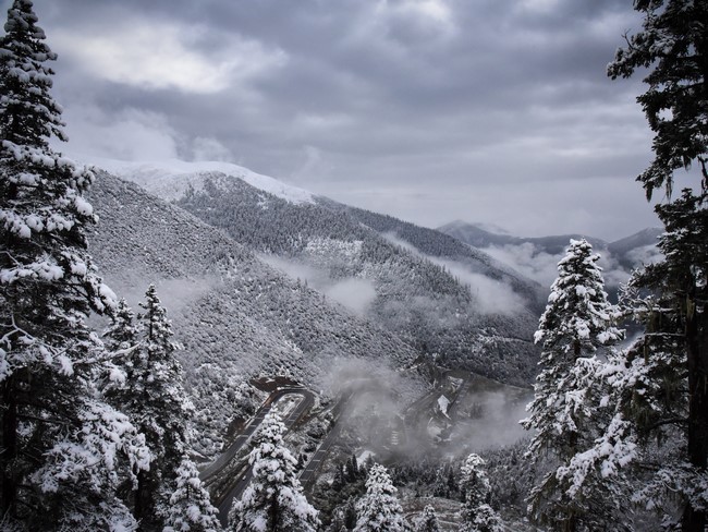 1575263658430086520.jpg 2.jpg